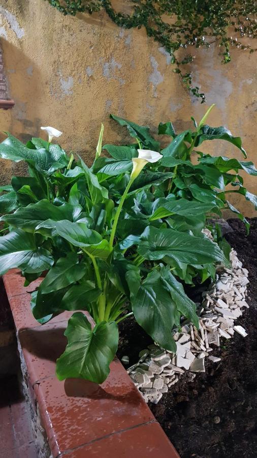 Apartamento Il Giardino Sul Corso Scafati Exterior foto