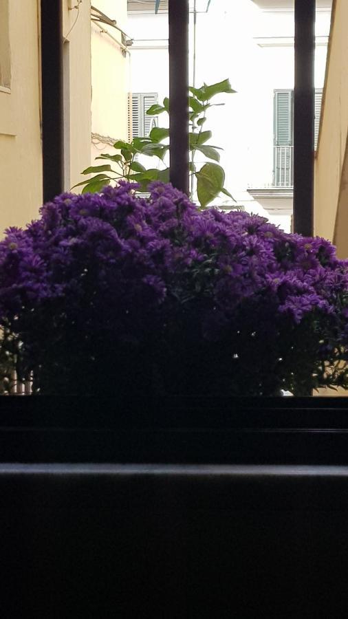 Apartamento Il Giardino Sul Corso Scafati Exterior foto