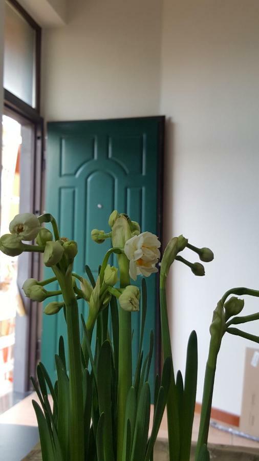 Apartamento Il Giardino Sul Corso Scafati Exterior foto