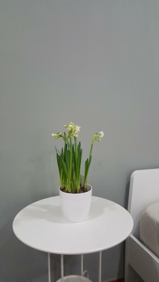 Apartamento Il Giardino Sul Corso Scafati Exterior foto